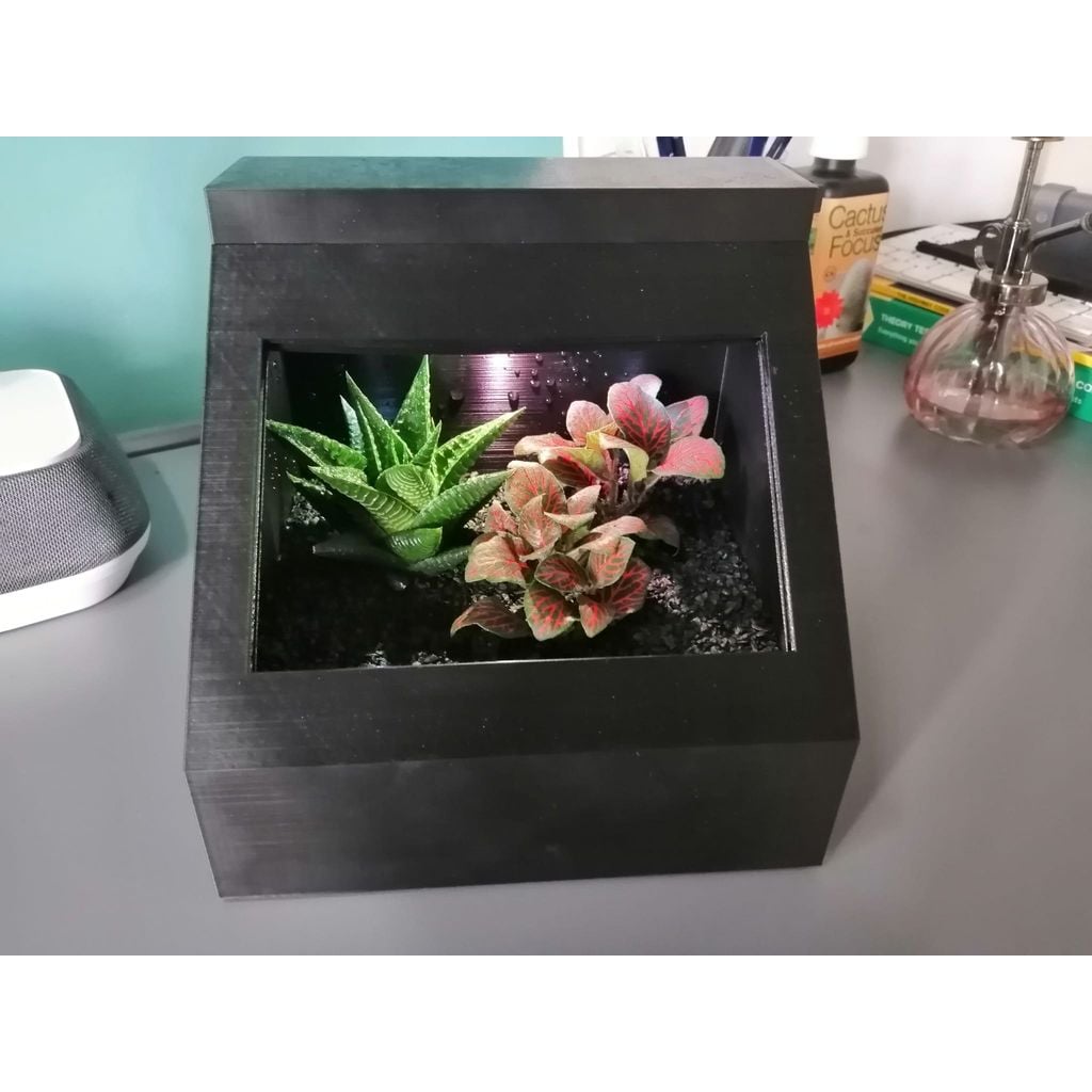 Bitki Terraryumu - Sukulentler İçin Mini Kapaklı Kutu