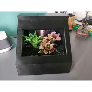Bitki Terraryumu - Sukulentler İçin Mini Kapaklı Kutu
