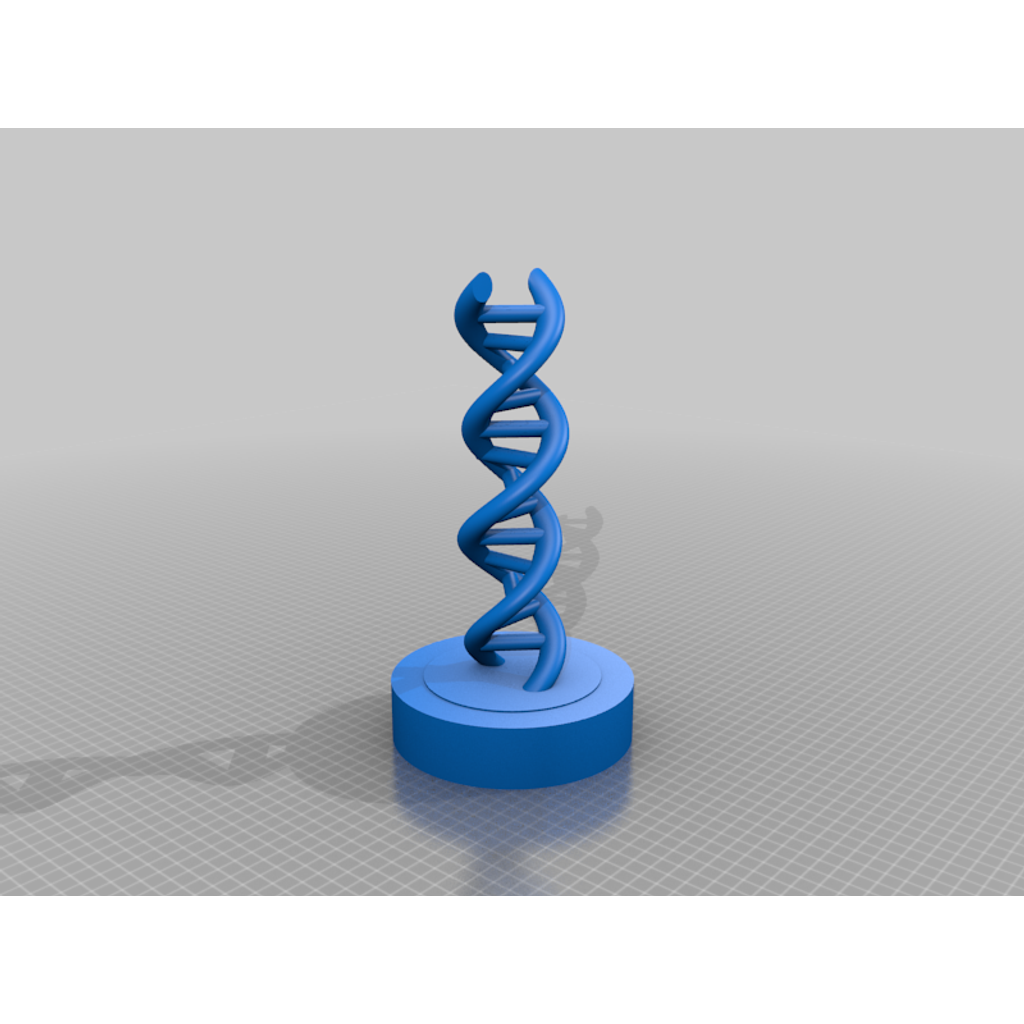 DNA Modeli