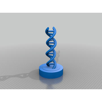 DNA Modeli